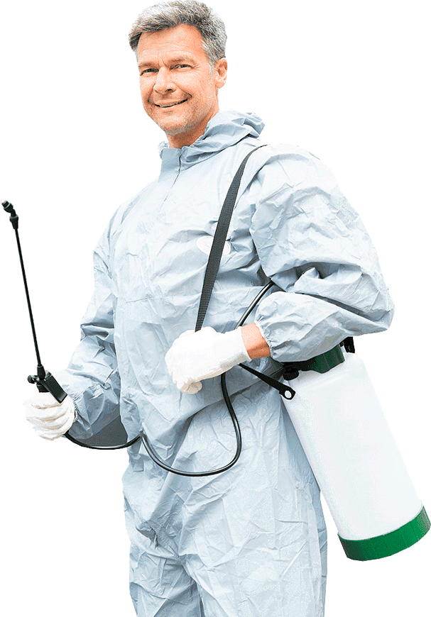 Компания «DEZ MAX»